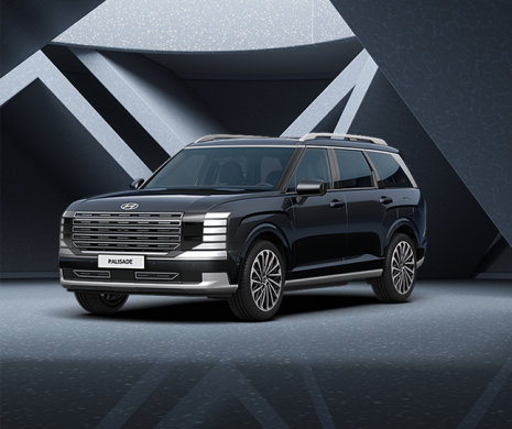 현대 디 올 뉴 팰리세이드