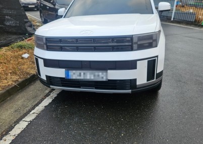 패밀리카는 싼타페!